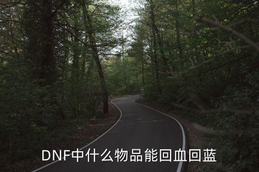 DNF中什么物品能回血回蓝