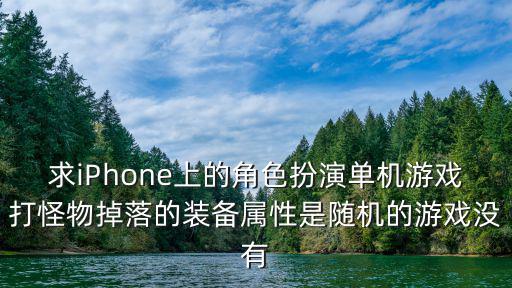 什么游戏装备掉落属性随机，求一款装备自制属性很多且全随机的游戏