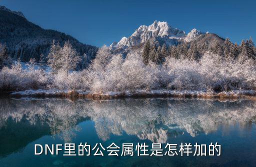 DNF里的公会属性是怎样加的