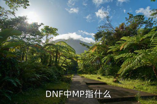 dnf什么属性加mp，DNF什么宝珠加MP和HP