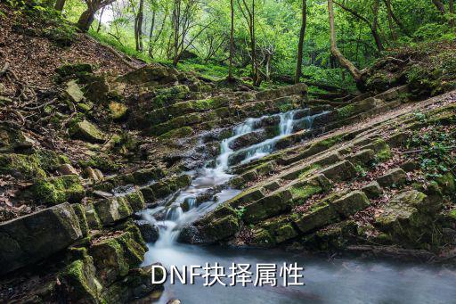 DNF抉择属性