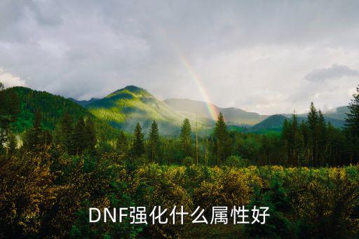 DNF强化什么属性好