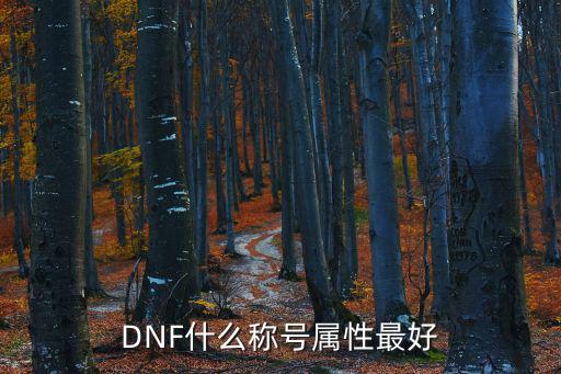 DNF什么称号属性最好