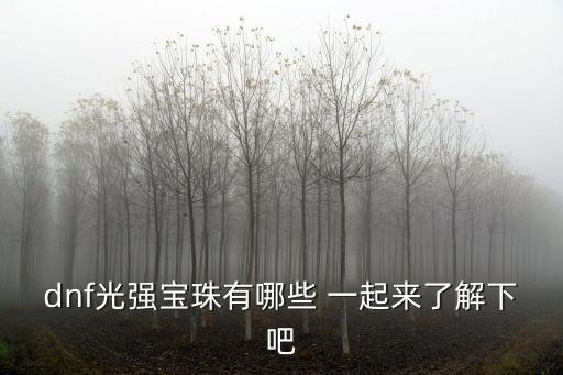 dnf什么宝珠带属性，DNF加所有属性强化的宝珠有哪些