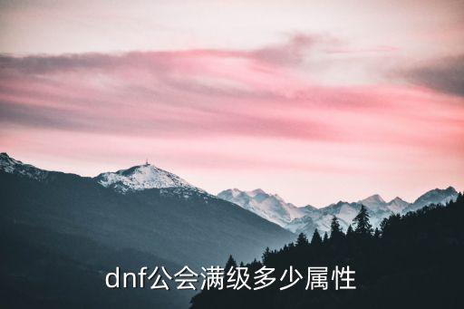 dnf公会什么属性最高，DNF公会满属性是多少