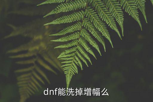 dnf能洗掉增幅么