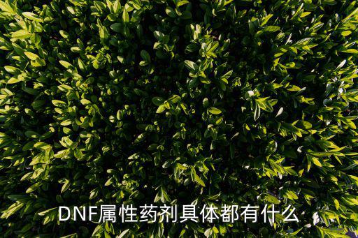 DNF属性药剂具体都有什么