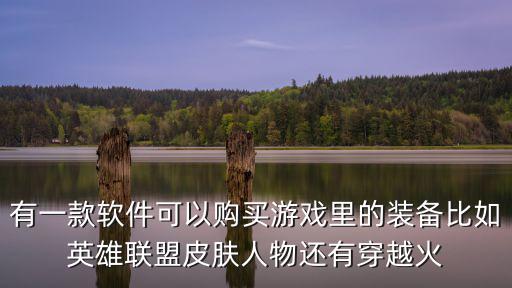 有一款软件可以购买游戏里的装备比如英雄联盟皮肤人物还有穿越火