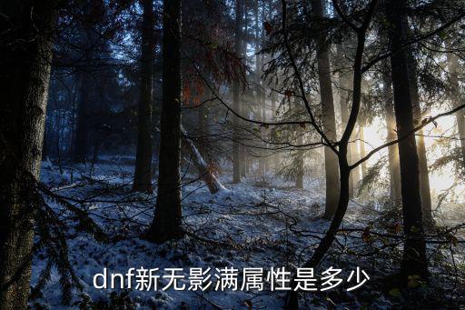 dnf新无影满属性是多少