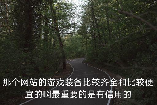 那个网站的游戏装备比较齐全和比较便宜的啊最重要的是有信用的