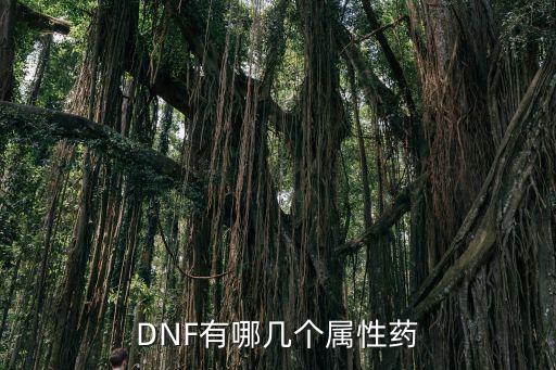 DNF有哪几个属性药