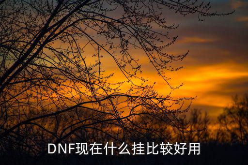 DNF现在什么挂比较好用