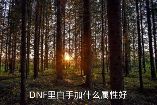 DNF里白手加什么属性好