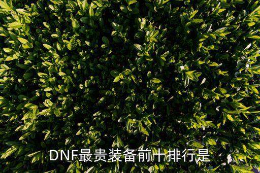 DNF最贵装备前十排行是