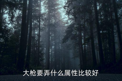 大枪要弄什么属性比较好