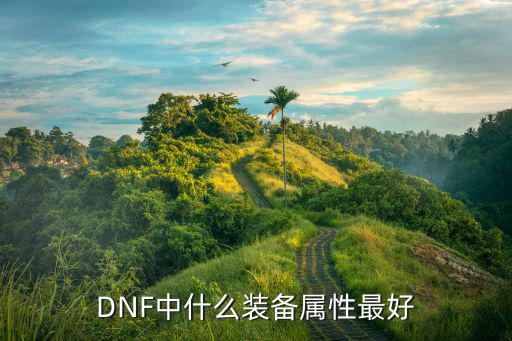 DNF中什么装备属性最好