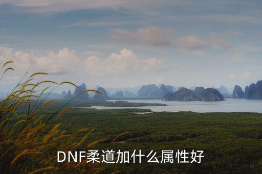 DNF柔道加什么属性好