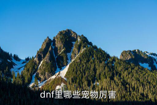 dnf什么宠物属性算好，召唤怎样的宠物属性比较好