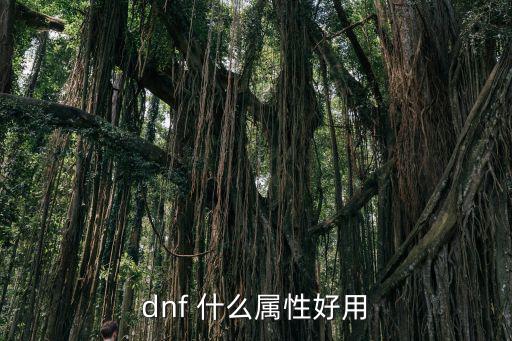 dnf属性用什么，dnf 什么属性好用