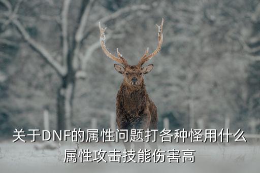 关于DNF的属性问题打各种怪用什么属性攻击技能伤害高