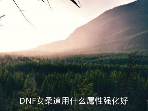 DNF女柔道用什么属性强化好