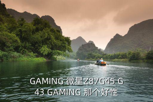 GAMING 微星Z87G45 G43 GAMING 那个好性