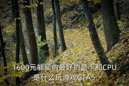 1600元的游戏装备是什么，1600元能买的最好的显卡和CPU是什么玩游戏GTA5