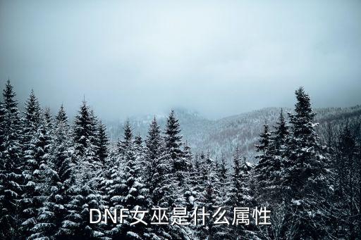 dnf巫女用什么属性，dnf巫女是什么攻击