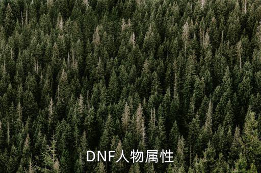 DNF人物属性