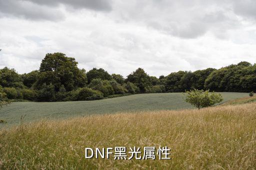 DNF黑光属性