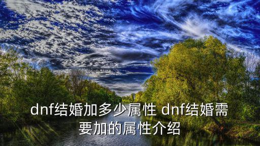 dnf结婚加多少属性 dnf结婚需要加的属性介绍