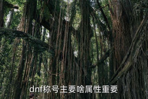 dnf称号主要啥属性重要