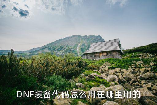 DNF装备代码怎么用在哪里用的