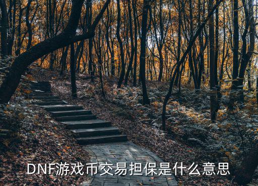 DNF游戏币交易担保是什么意思