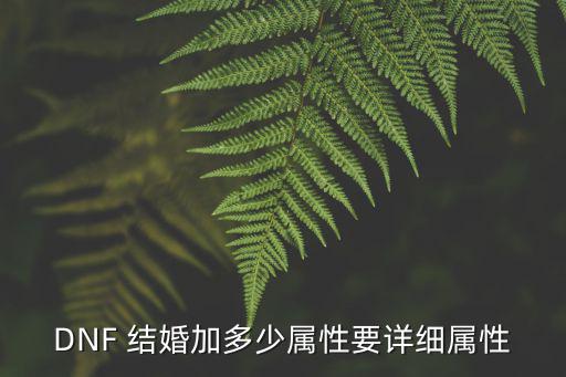 dnf结婚属性还有什么，DNF 结婚加多少属性要详细属性