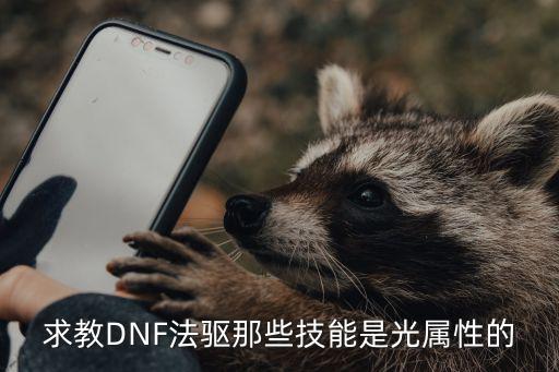 求教DNF法驱那些技能是光属性的