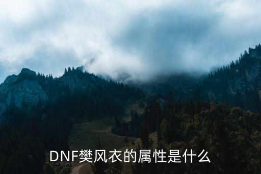 DNF樊风衣的属性是什么