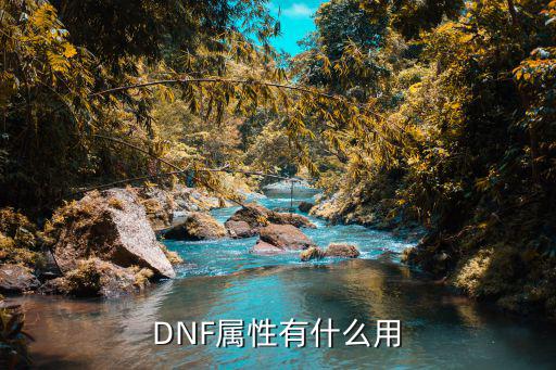 DNF属性有什么用