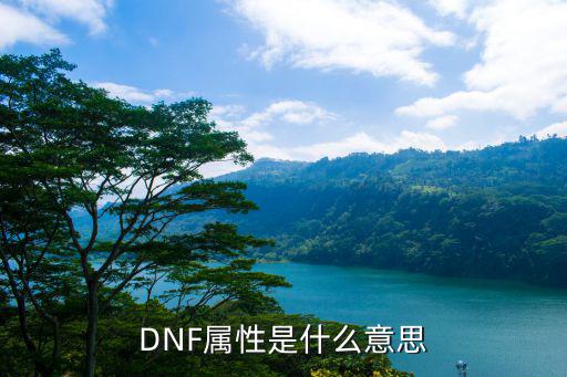 DNF属性是什么意思