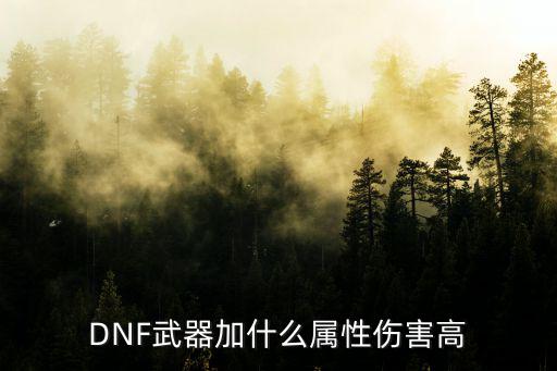 DNF武器加什么属性伤害高