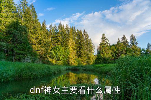 dnf神女主要看什么属性