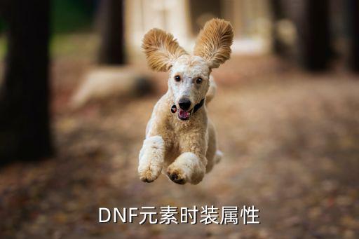 DNF元素时装属性