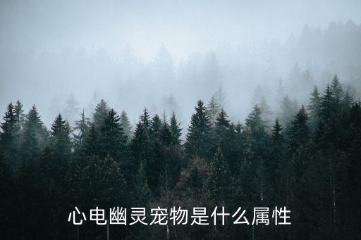 心电幽灵宠物是什么属性