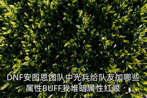 DNF安图恩团队中光兵给队友加哪些属性BUFF我堆暗属性红眼