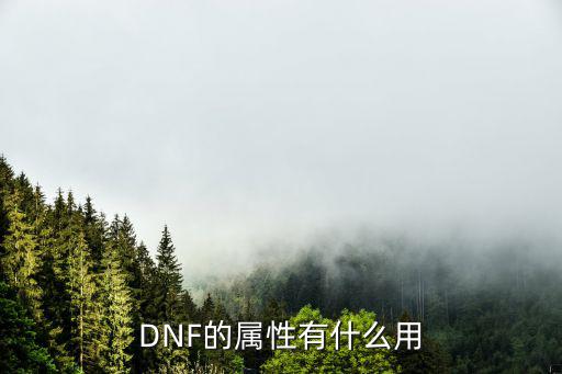 DNF的属性有什么用