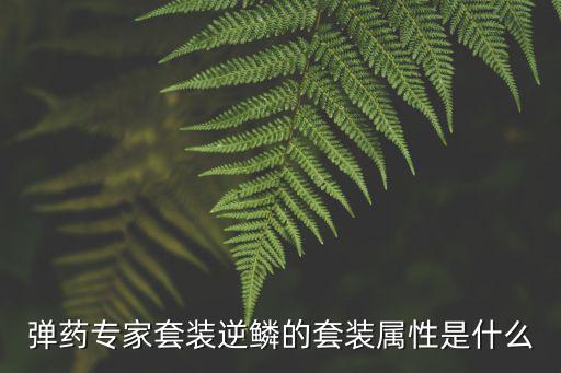 弹药专家套装逆鳞的套装属性是什么