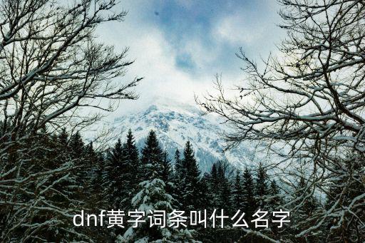 dnf黄字是什么属性，dnf黄字是什么词条