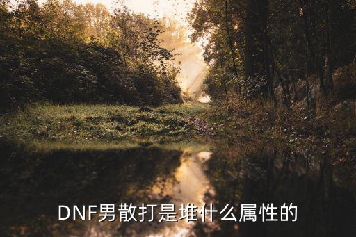 dnf散打适合什么属性，DNF男散打是堆什么属性的