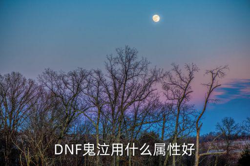 DNF鬼泣用什么属性好