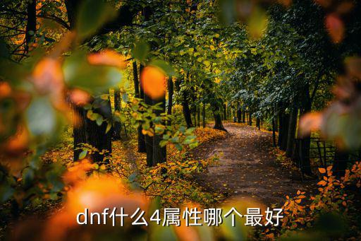 dnf什么4属性哪个最好